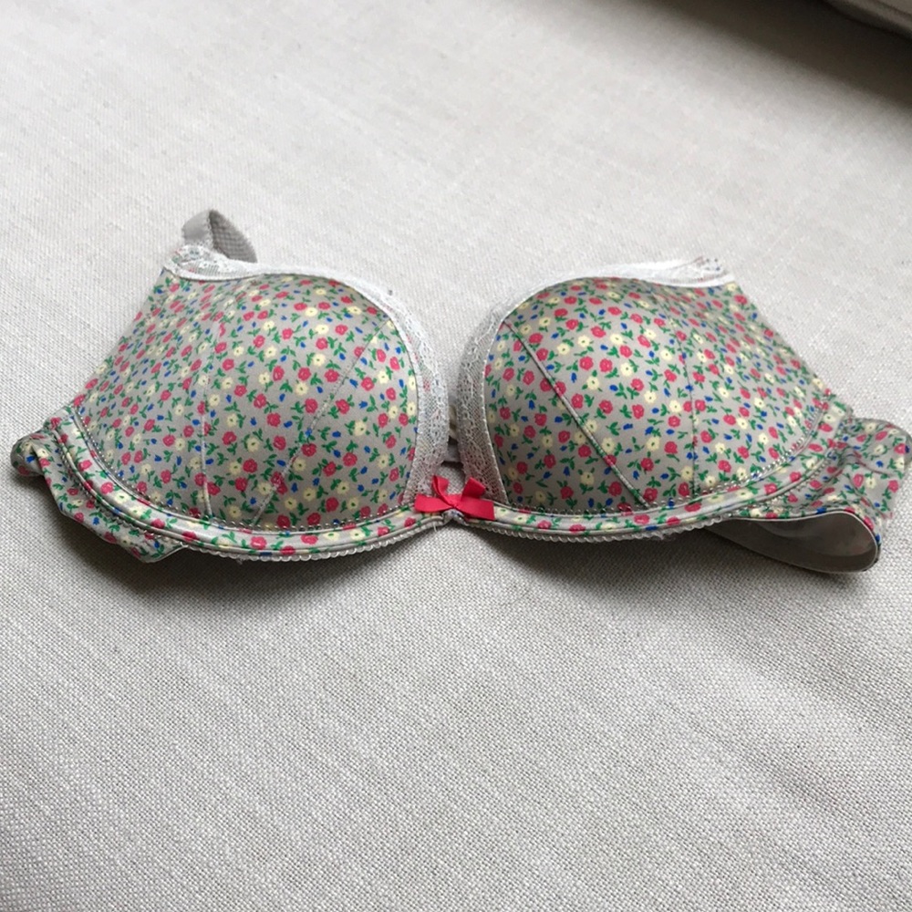 Aerie 34B Bridget Floral Push Up Bra